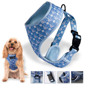 Rudy Harness